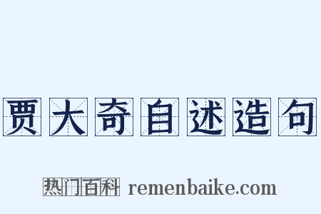 贾大奇自述造句是什么意思的图片